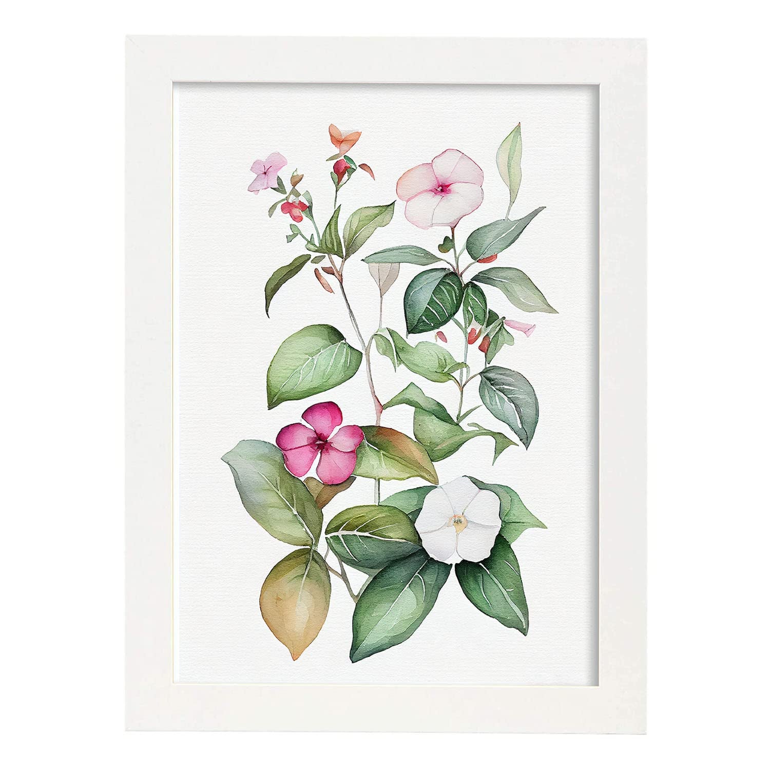 Nacnic poster de impatiens estilo nórdico ilustraciones de botánica con flores y plantas en acuarela diseño moderno y modelo 1 a3 con marco blancos