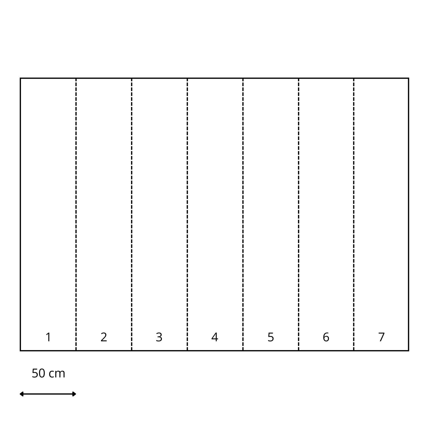 Papier peint panoramique les plantes vert - 350 x 250 cm - Komar - 4