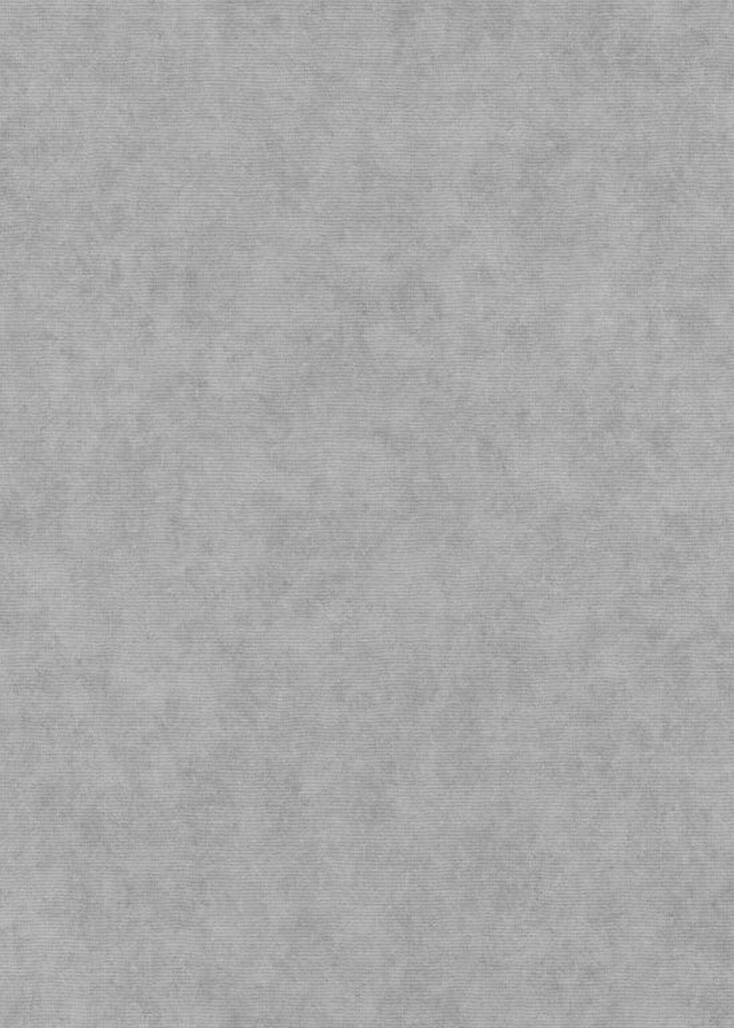 Tapeta zwykły szarym - 53 cm x 10.05 m - ERISMANN