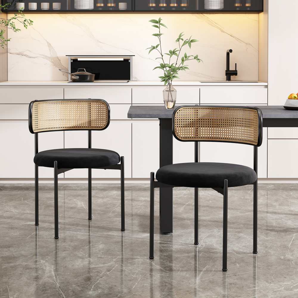 Lot de 2 chaises design en rotin pour salle à manger, pièce à vivre ...