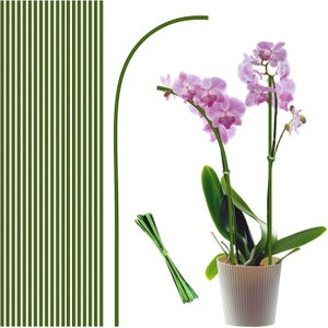 Lot De 20 Piquets De Jardin En Bois - 20 Cm, Robustes, Pour Plantes, Légumes Et Clôtures