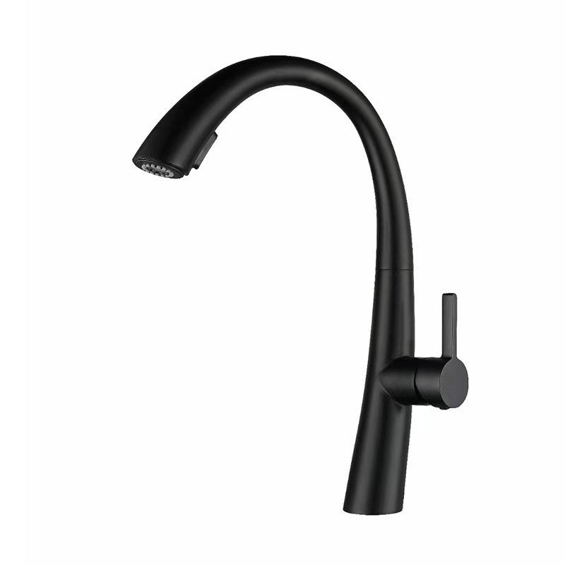 Wyciągana bateria kuchenna, stal nierdzewna, obrotowa 360°, ciepła i zimna woda, czarna