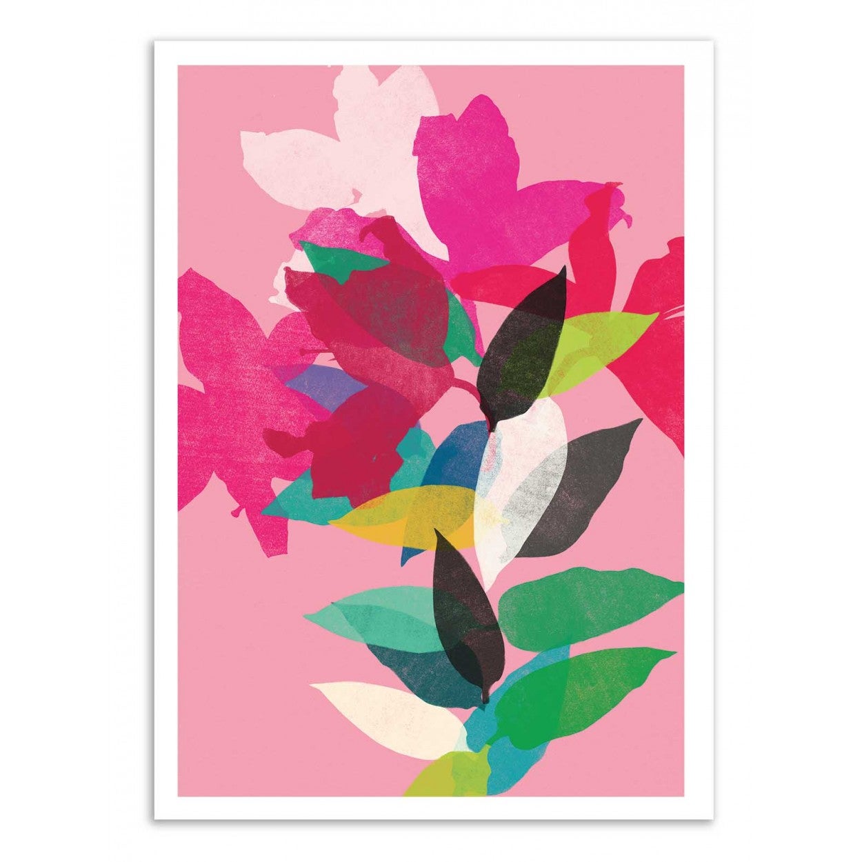 Art-poster - pink lily - garima dhawan - 50 x 70 cm