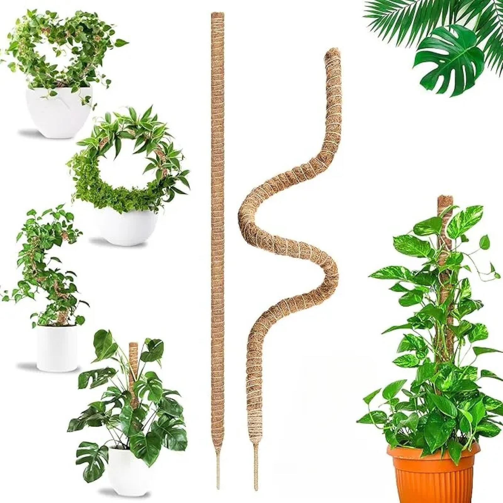 Tuteur Plante Grimpante en Coco Pliable 90 cm Support de Croissance — free download