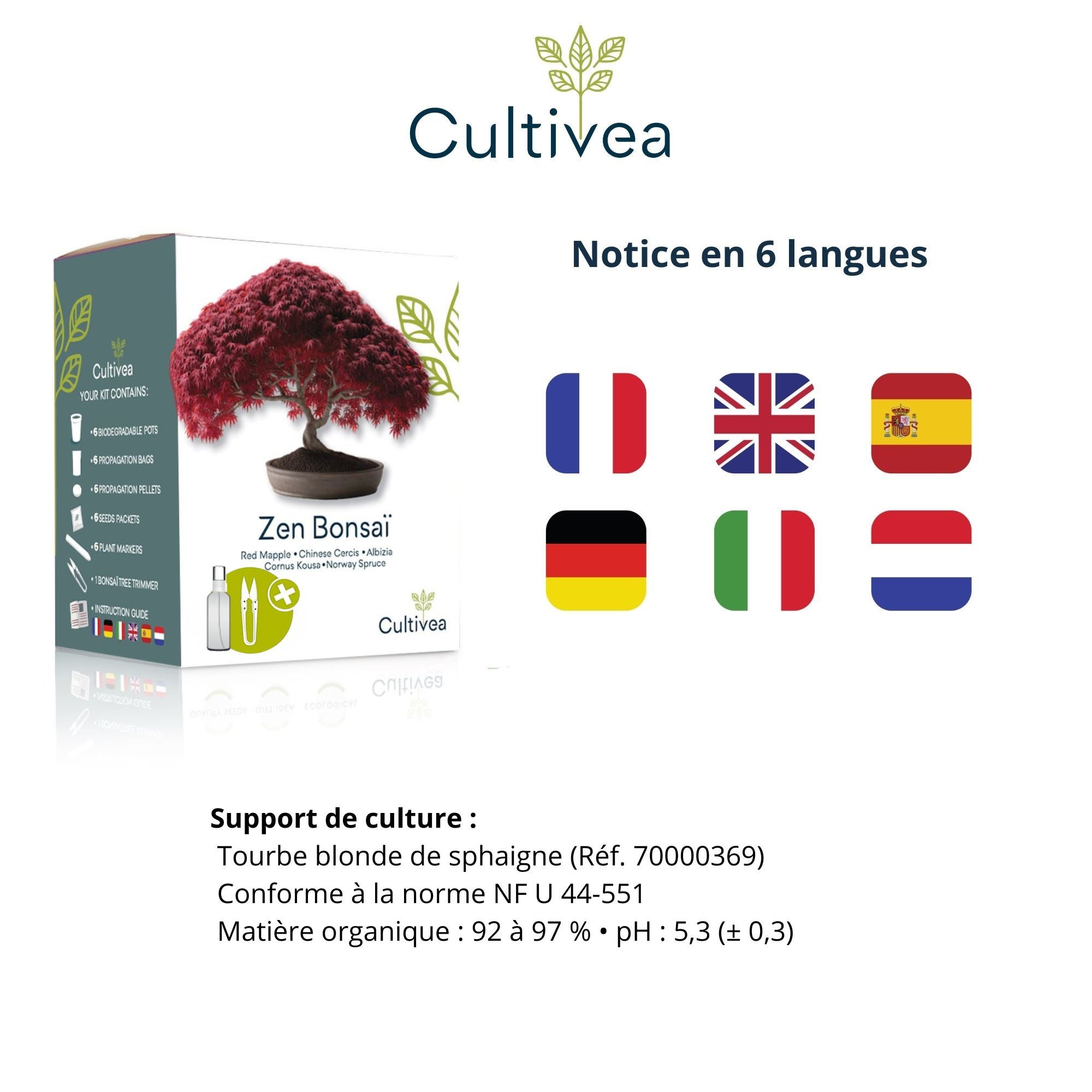 CULTIVEA® Mini Kit Prêt à Pousser 6 Bonsaï - Kit complet avec accessoires - Idée Cadeau Jardinage, Noël, Anniversaire - 8