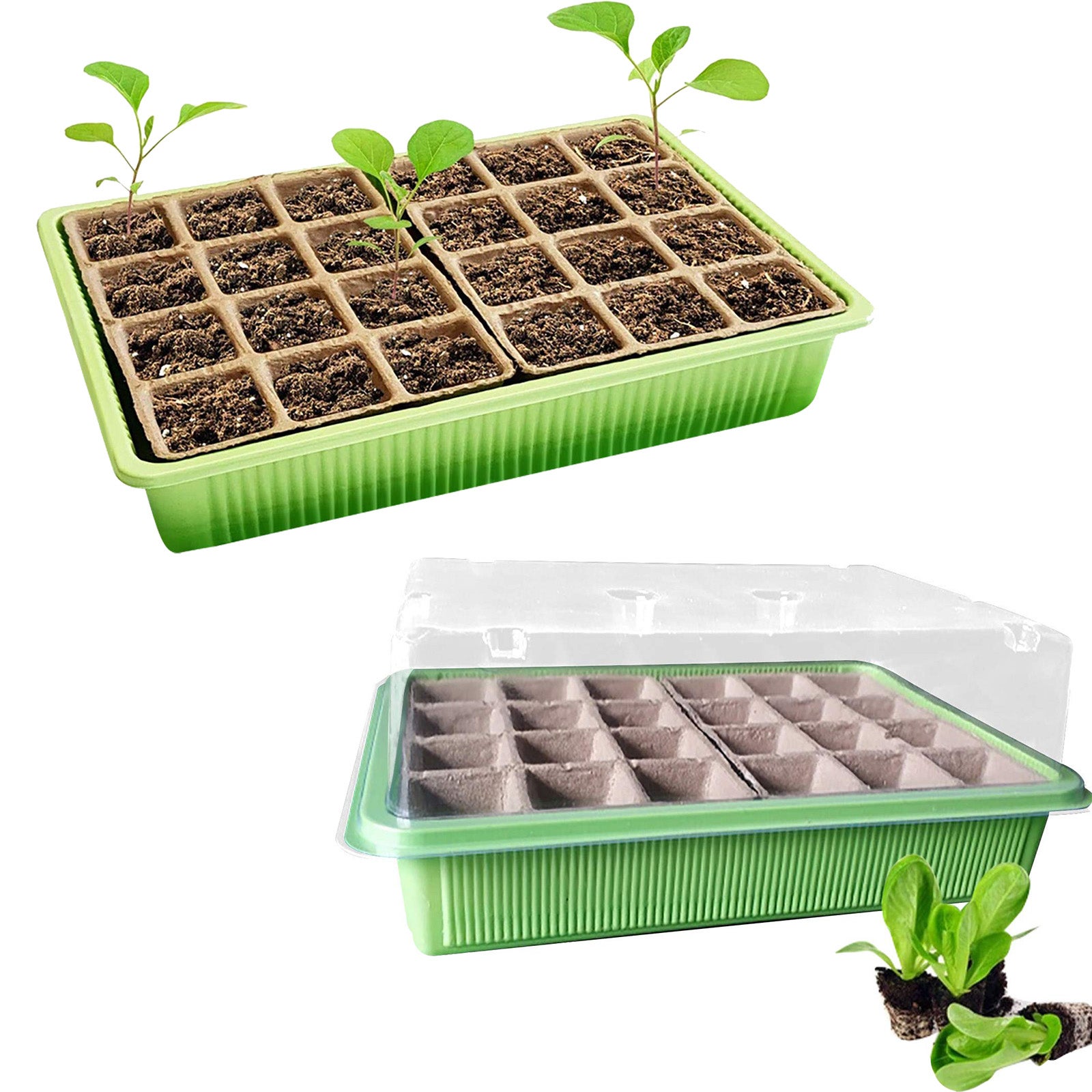 2-częściowa taca do siewu, zestaw do rozmnażania w szklarni, taca do mikro-siewu do kiełkowania i wzrostu nasion