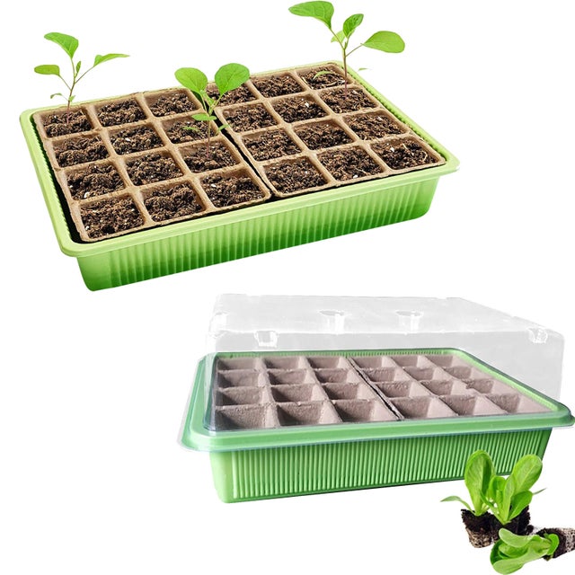 Plateau de semis 2 pièces, kit de propagation en serre, plateau de micro-semis pour la germination et la croissance des graines