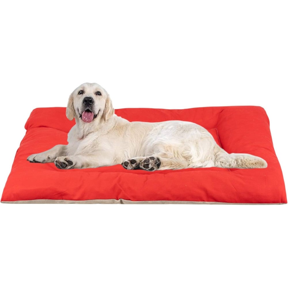Cama para Perros Grandes, Medianos y Pequeños, Cama de Poliéster