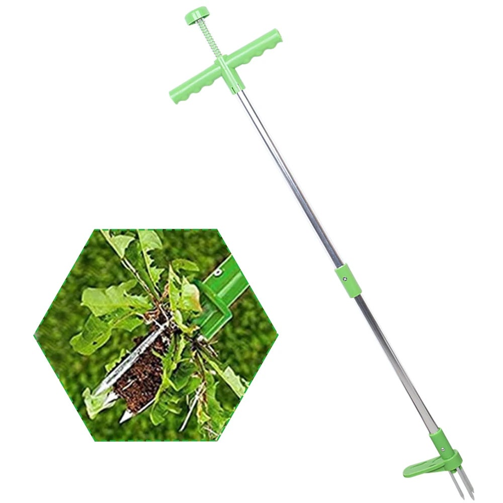 Désherbeur Manuel Garden En Acier Inox + Poignée Bois 32 Cm - Outil Ergonomique Anti-Racine Pour Pissenlits & Mauvaises Herbes