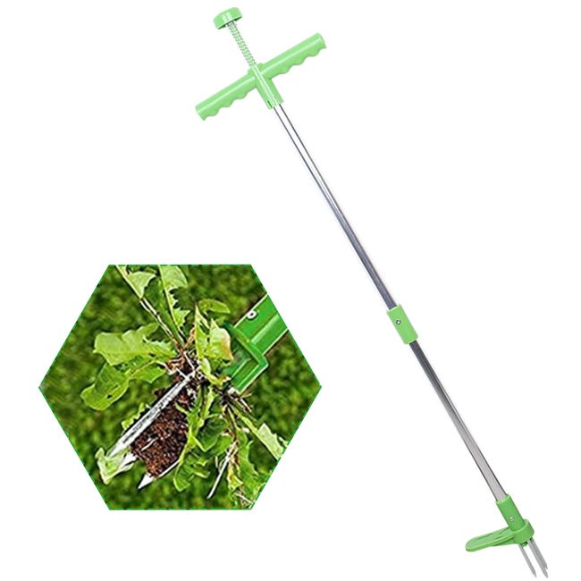 Désherbeur Manuel Garden En Acier Inox + Poignée Bois 32 Cm - Outil Ergonomique Anti-Racine Pour Pissenlits & Mauvaises Herbes