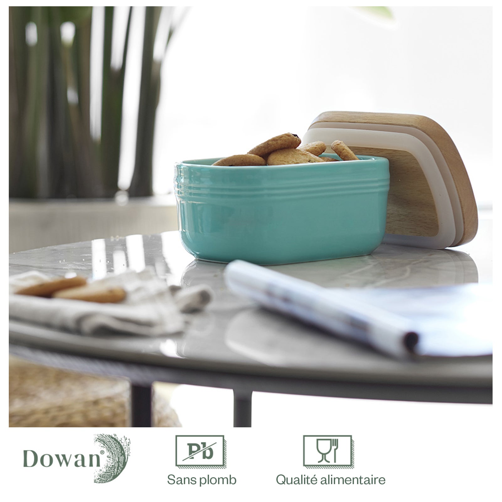 DOWAN Beurrier en porcelaine, Beurrier en céramique avec ligne d'eau, Conteneur à beurre en porcelaine pour beurre mou à tartiner, Beurrier français avec couvercle (Blanc, 9,5 cm