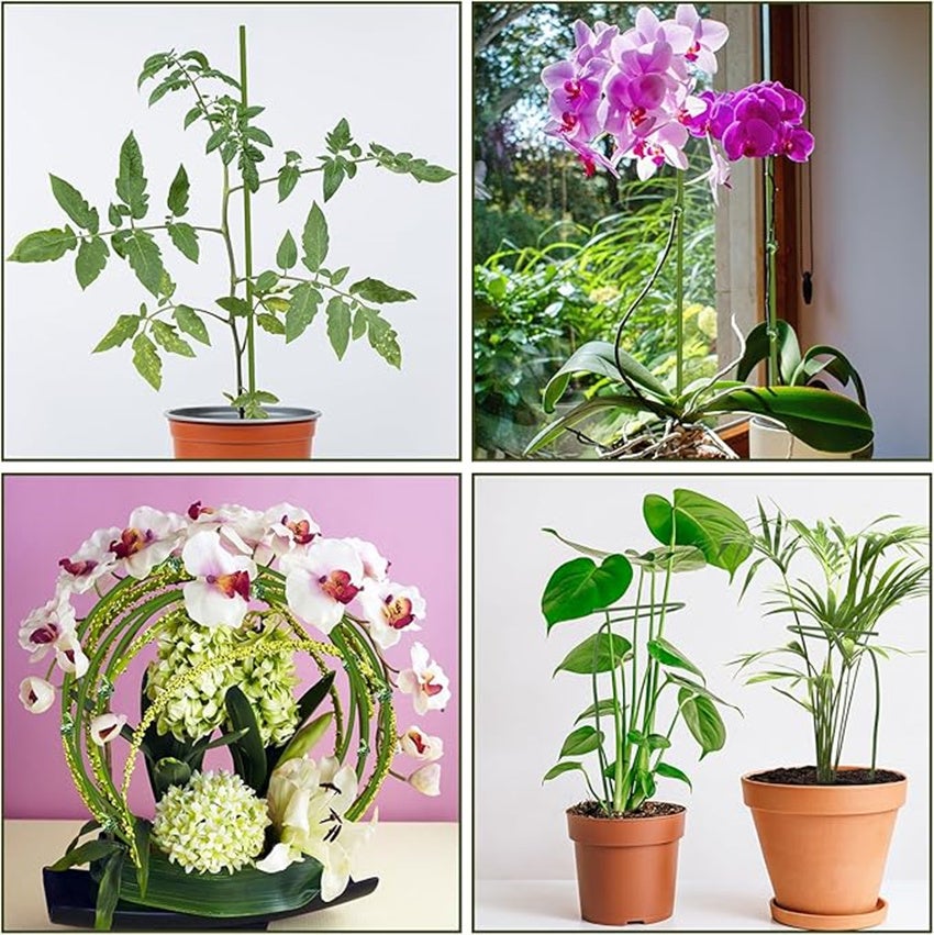 Lot de 20 tuteurs flexibles pour plantes,tiges de support pour plantes,tuteurs de jardin,utilisation intérieure(avec pince pour orchidées)-QWINERN - 3