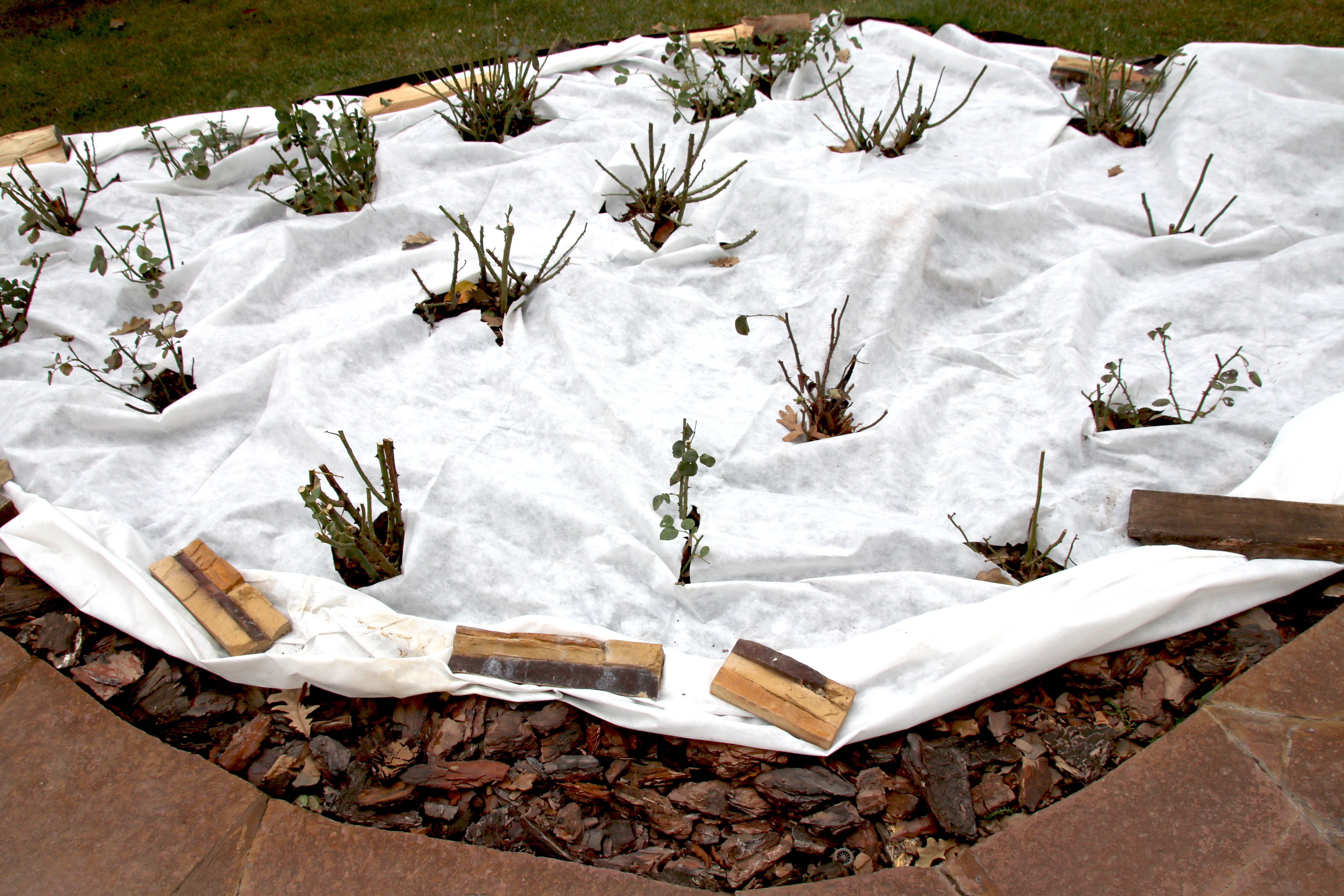 Folia ściółkująca 600 m², ściółka chwastobójcza, folia drenażowa 150 g, szerokość 2 m