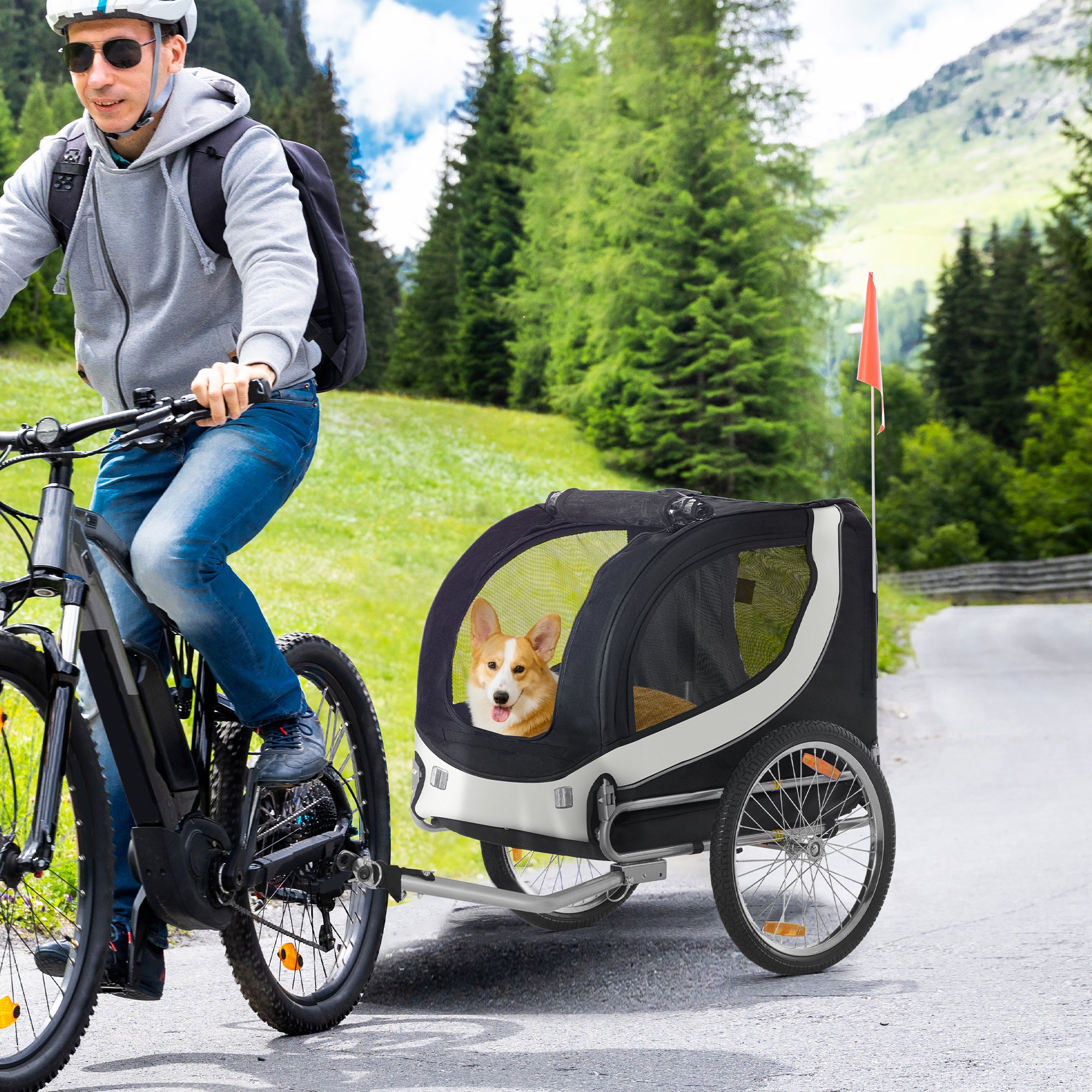 Remorque vélo pour chien animaux Acier PawHut - 2