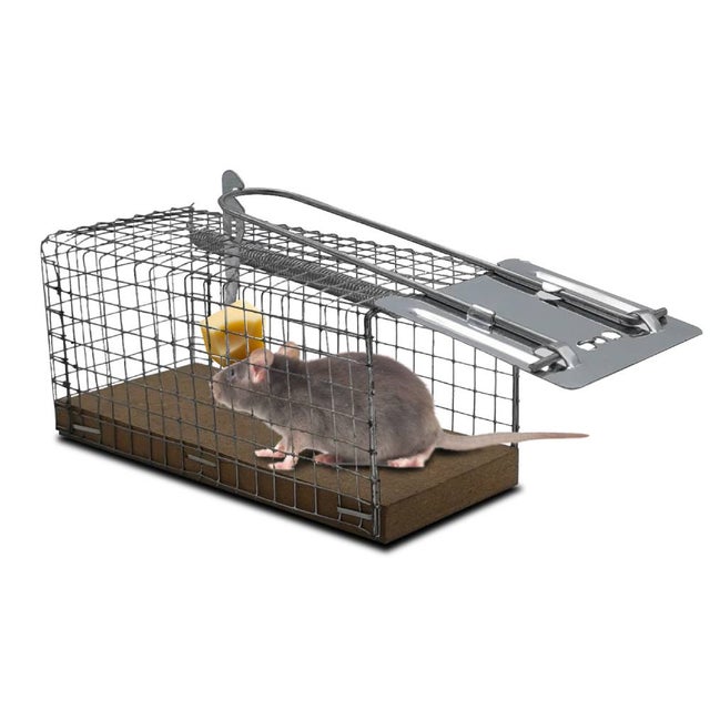 Piège à Souris Réutilisable - Appât Inclus - Lutte Antinuisible