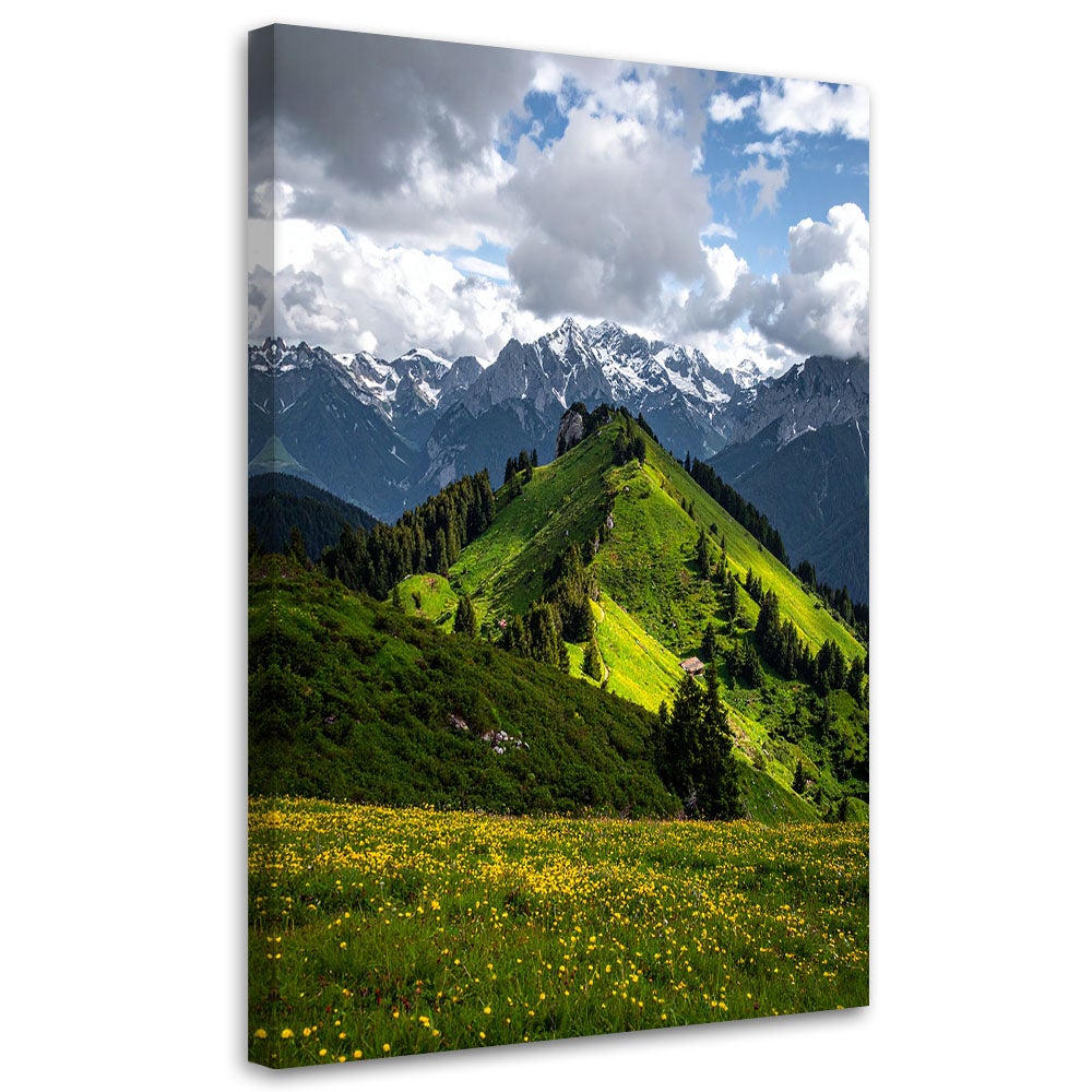 Obraz do salonu sypialni biura, Pejzaż widok góry las natura 60x90