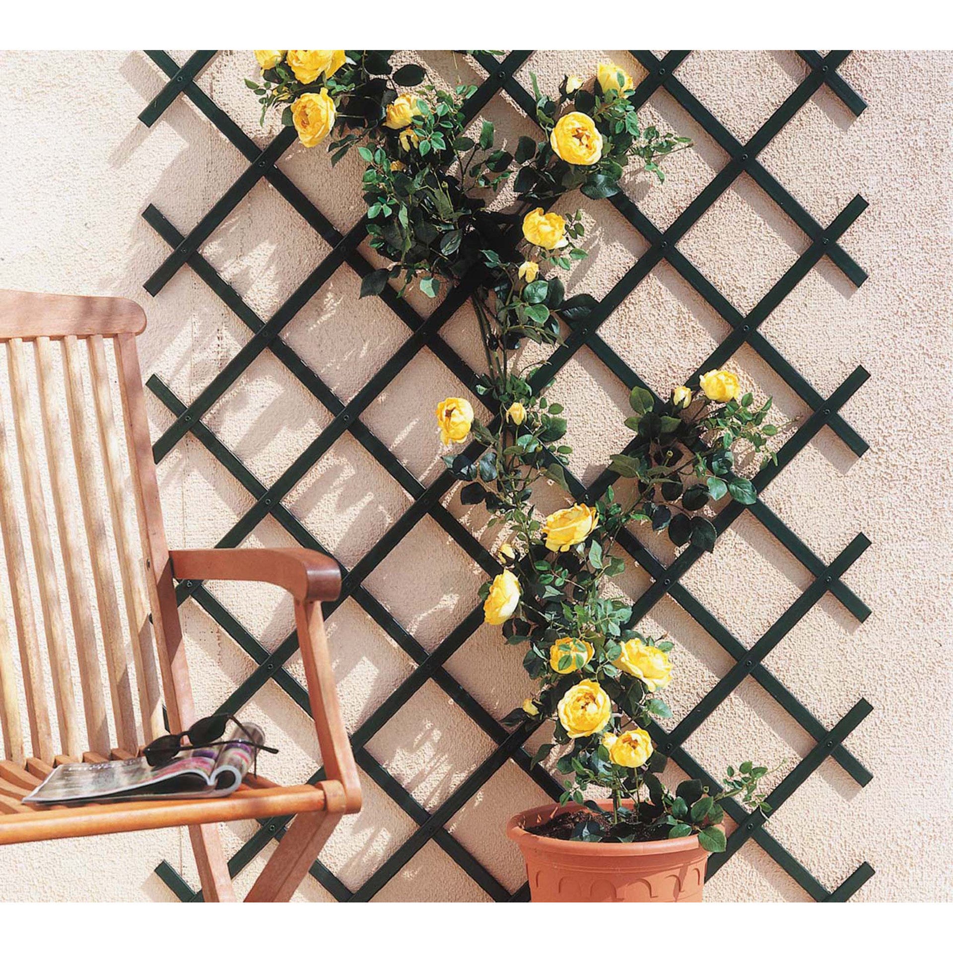 Treillis extensible en PVC vert 100x300 cm - 4