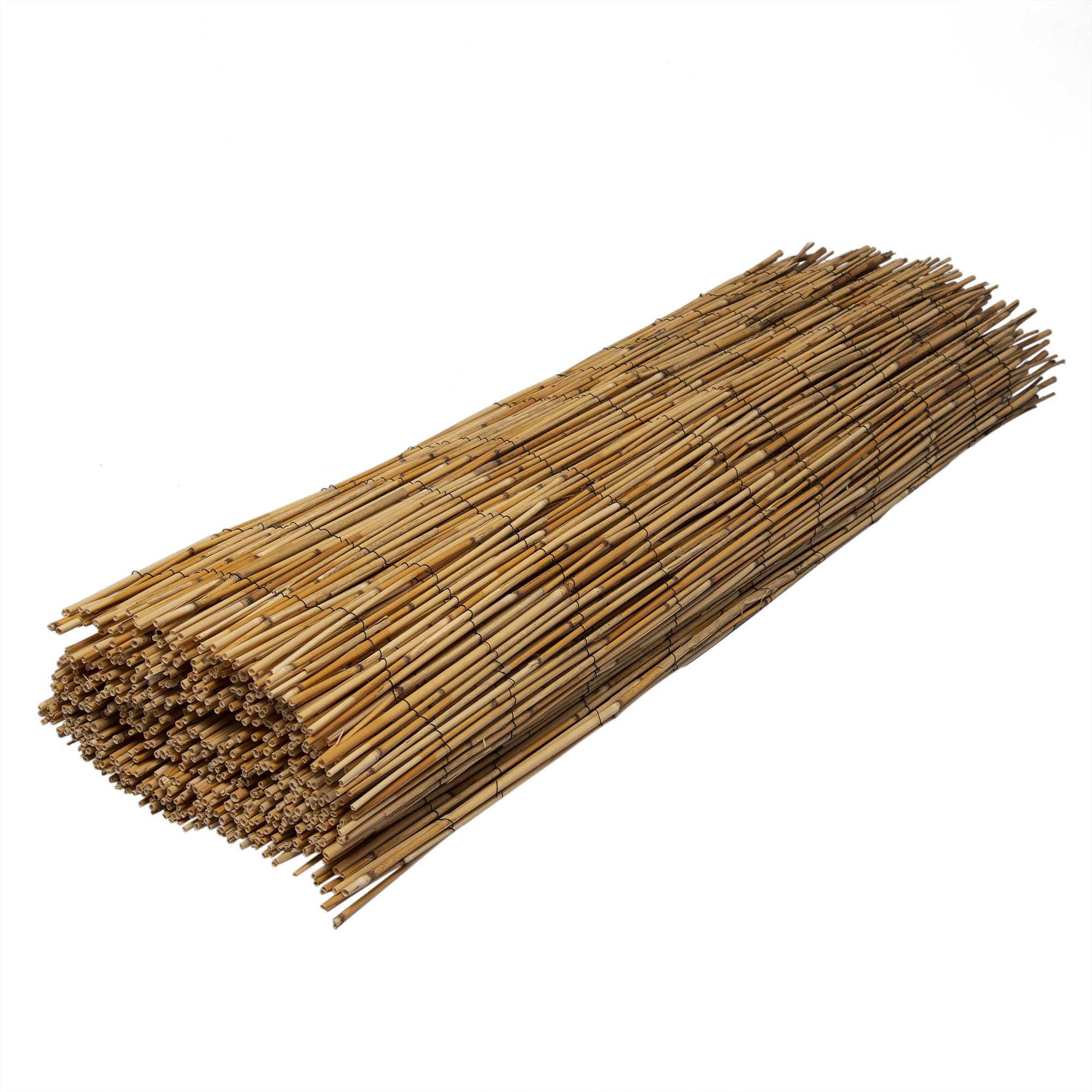 Canne in giunco naturale WERKA PRO - 4