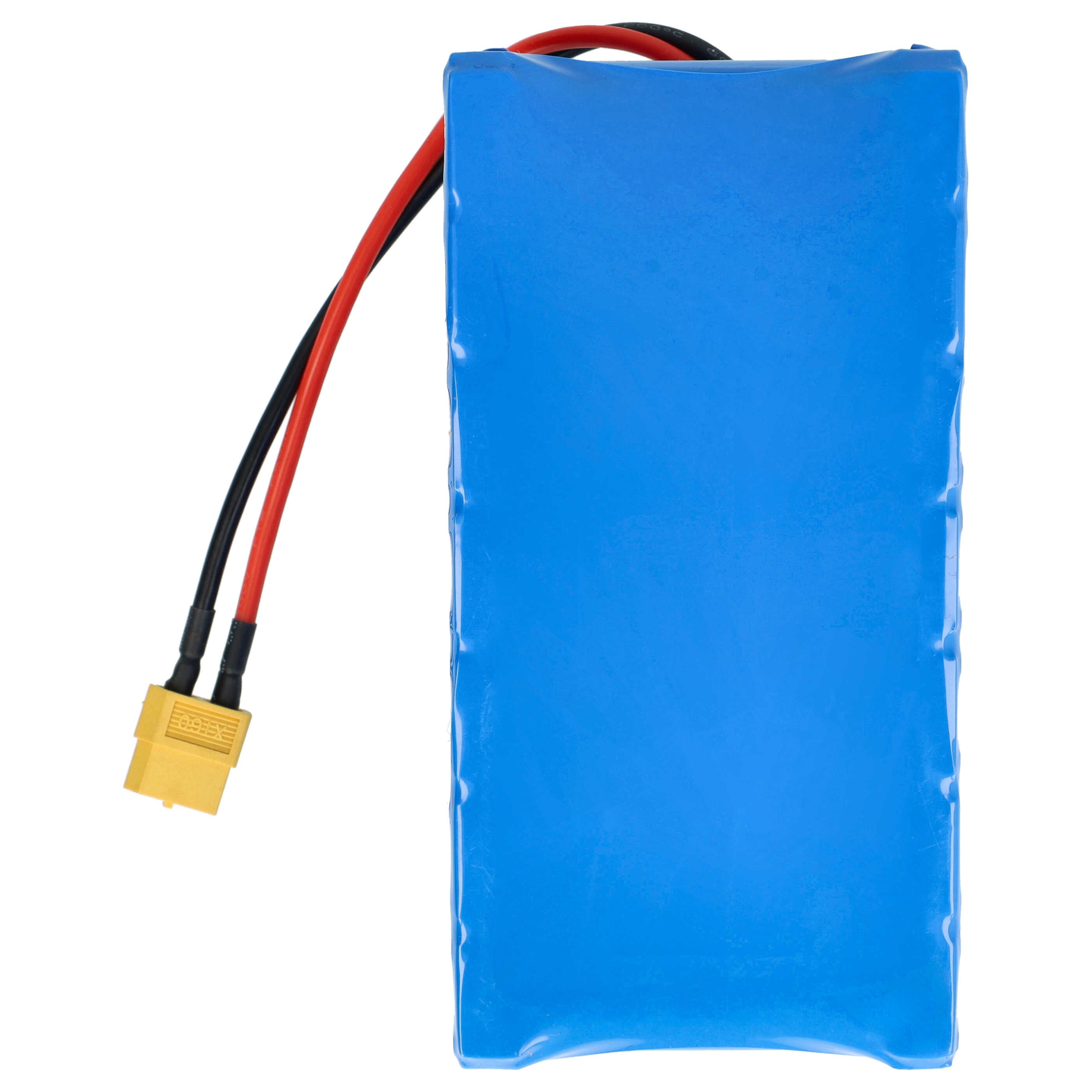 Batterie pour hoverboard 36V 4.4Ah - Sport