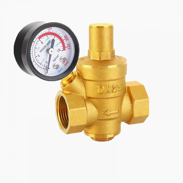 Régulateur De Pression D'eau Watts P60 - Plastique, 1DMK5, Neuf