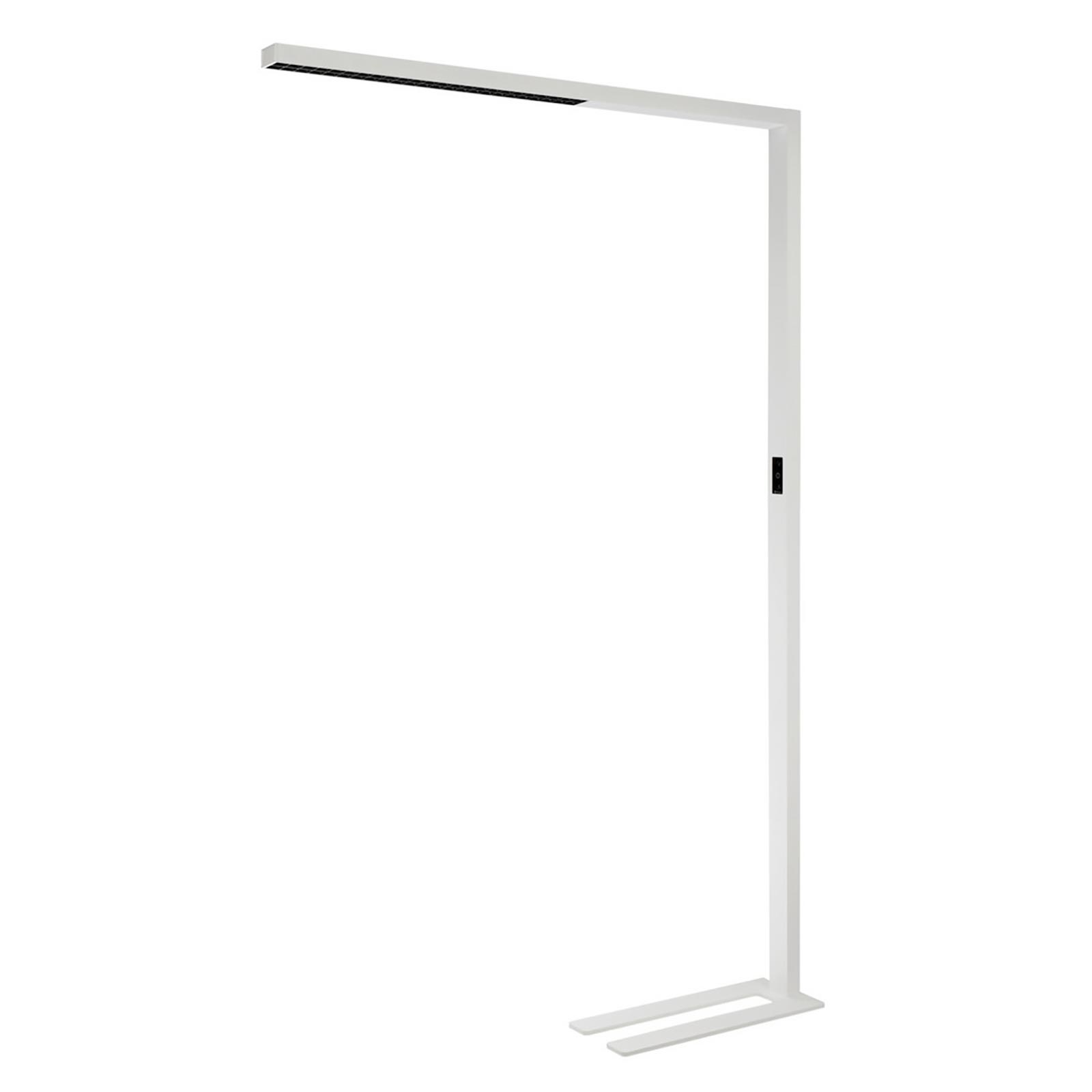 Lampa podłogowa LED 80W ściemniana dotykowo z czujnikiem obecności podwójna wiązka bezpośrednie światło pośrednie gabinet RA90 230V BIAŁA