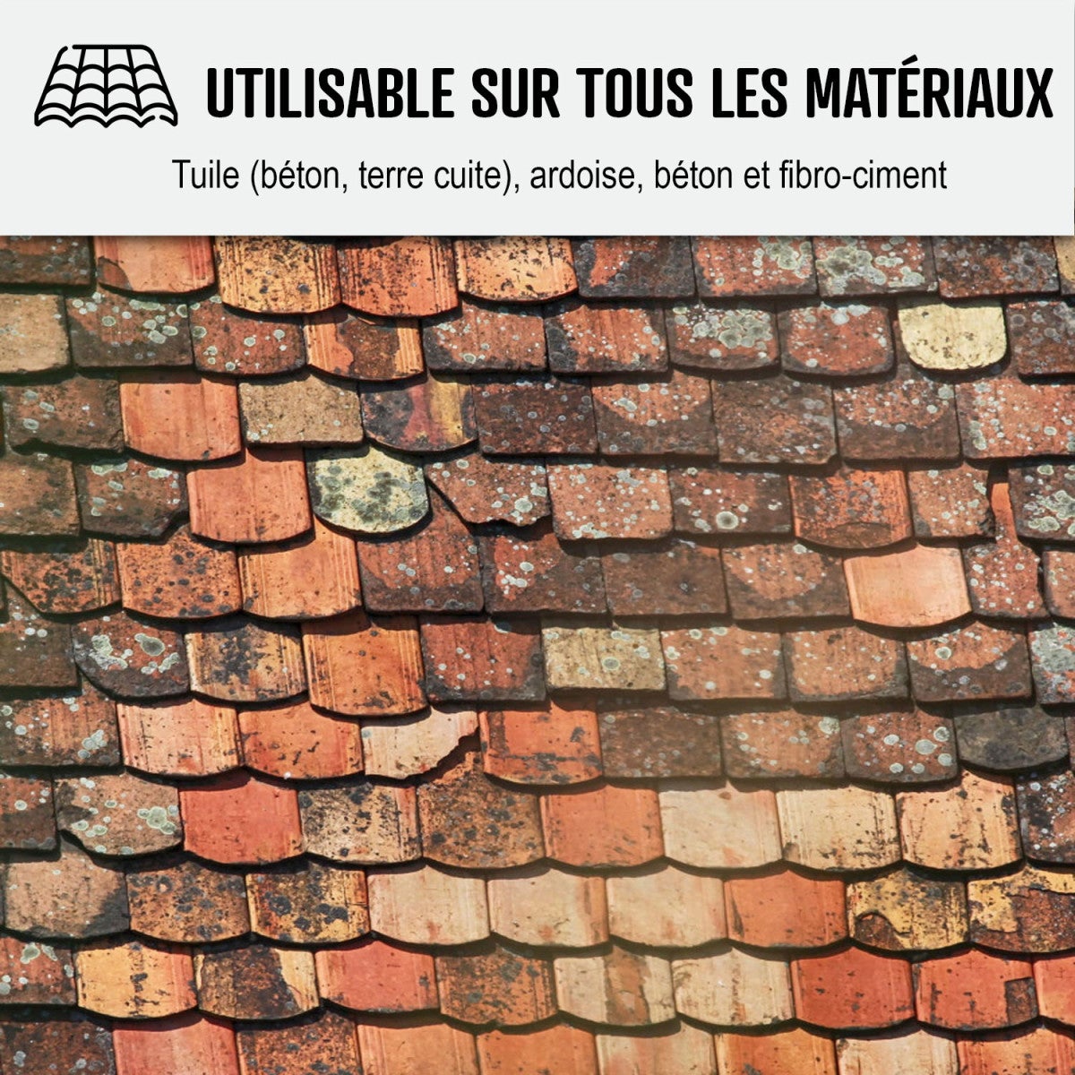 Nettoyant Toiture - Produit nettoyage toiture action rapide - 20 L - ARCANE INDUSTRIES - 6