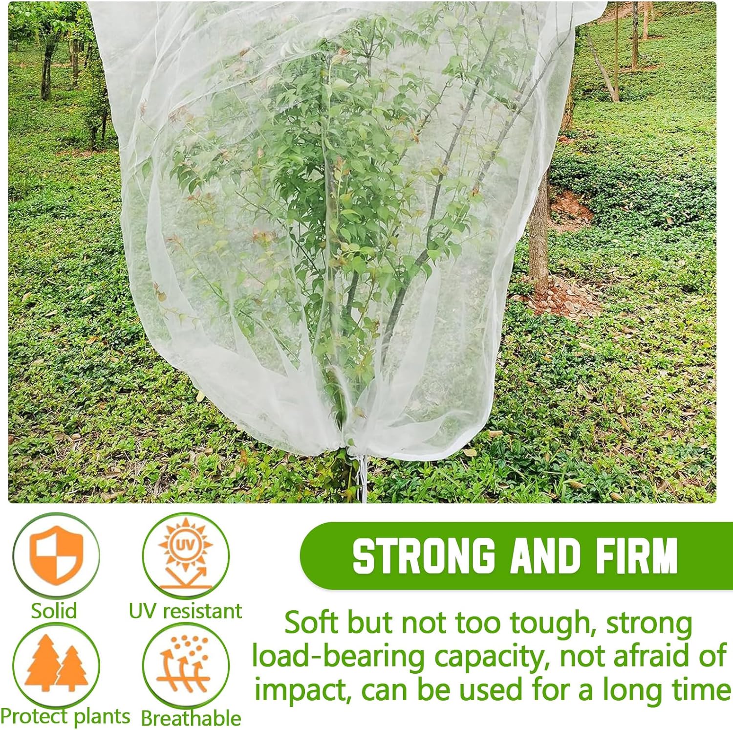 Filets Protection Plantes Anti-Oiseaux et Insectes, avec Fermeture Éclair + Cordon Serrage - pour Arbres Fruitiers, Légumes, Réutilisable (180x180 cm) - 6