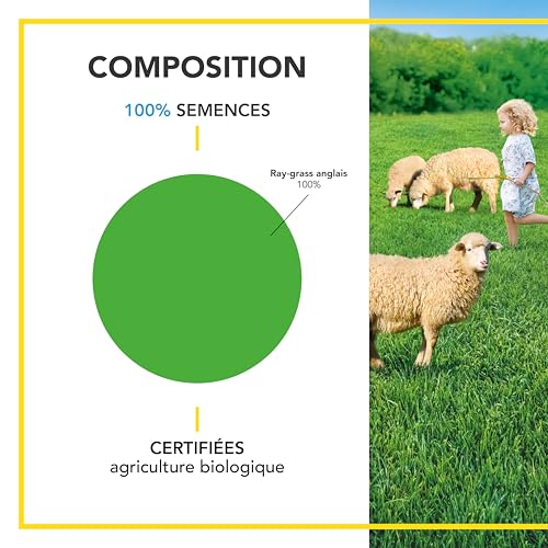 BARENBRUG - Prairie 100% Ray-grass anglais - Rapide d'Installation - Polyvalente et Appétente - Très Bonne Pérennité 4 ans et + - 10KG - 3