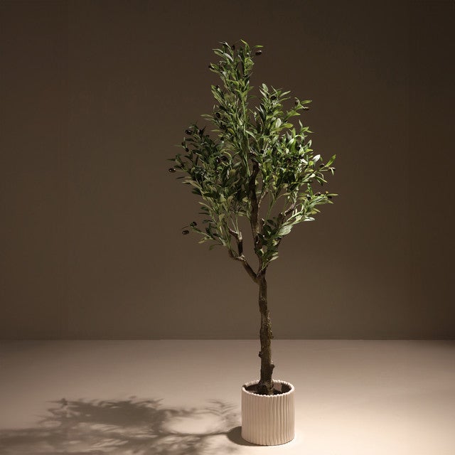 Olivo Artificial Grande De 150 Cm - 1012 Hojas Realistas, Resistente A UV, Para Interior Y Exterior
