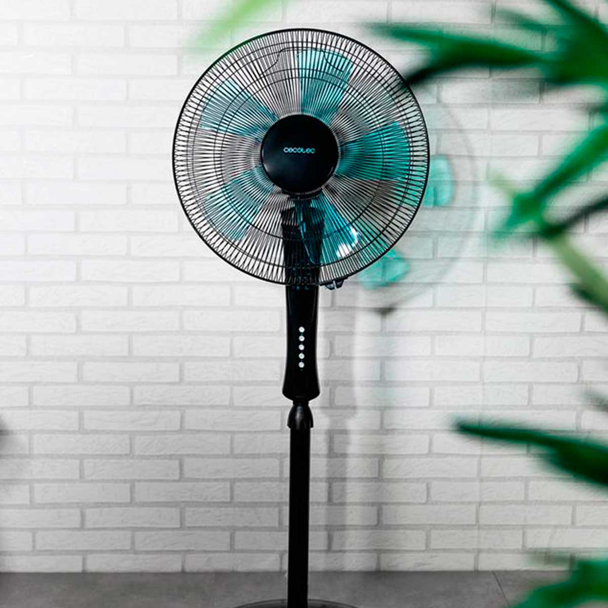 Ventilateur sur Pied Cecotec EnergySilence 530 Power Connected 50 W Noir - 6