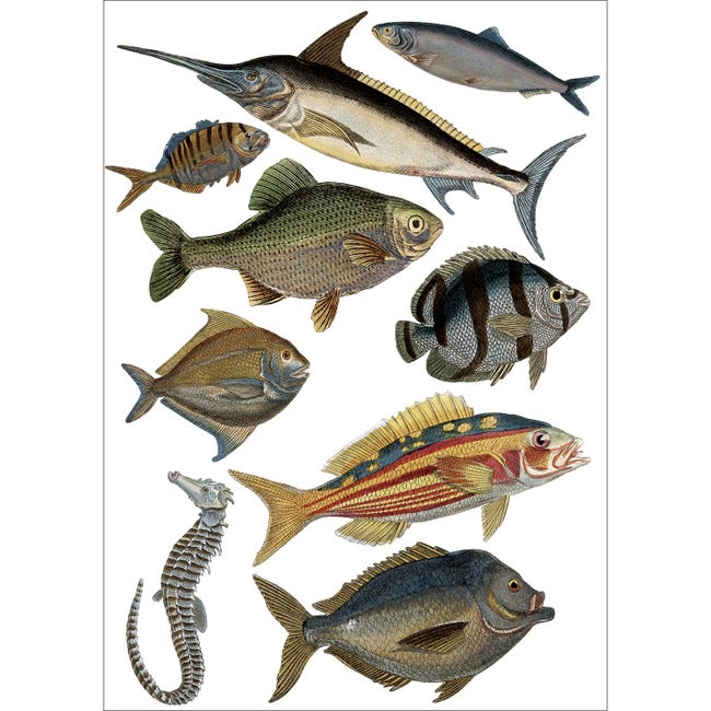PLAGE 157011 Adesivi murali - Stickers-Foglie d'Autunno, 2 Fogli 29,7 x PLAGE 157011 Adesivi murali - Stickers-Foglie d'Autunno, 2 Fogli 29,7 x