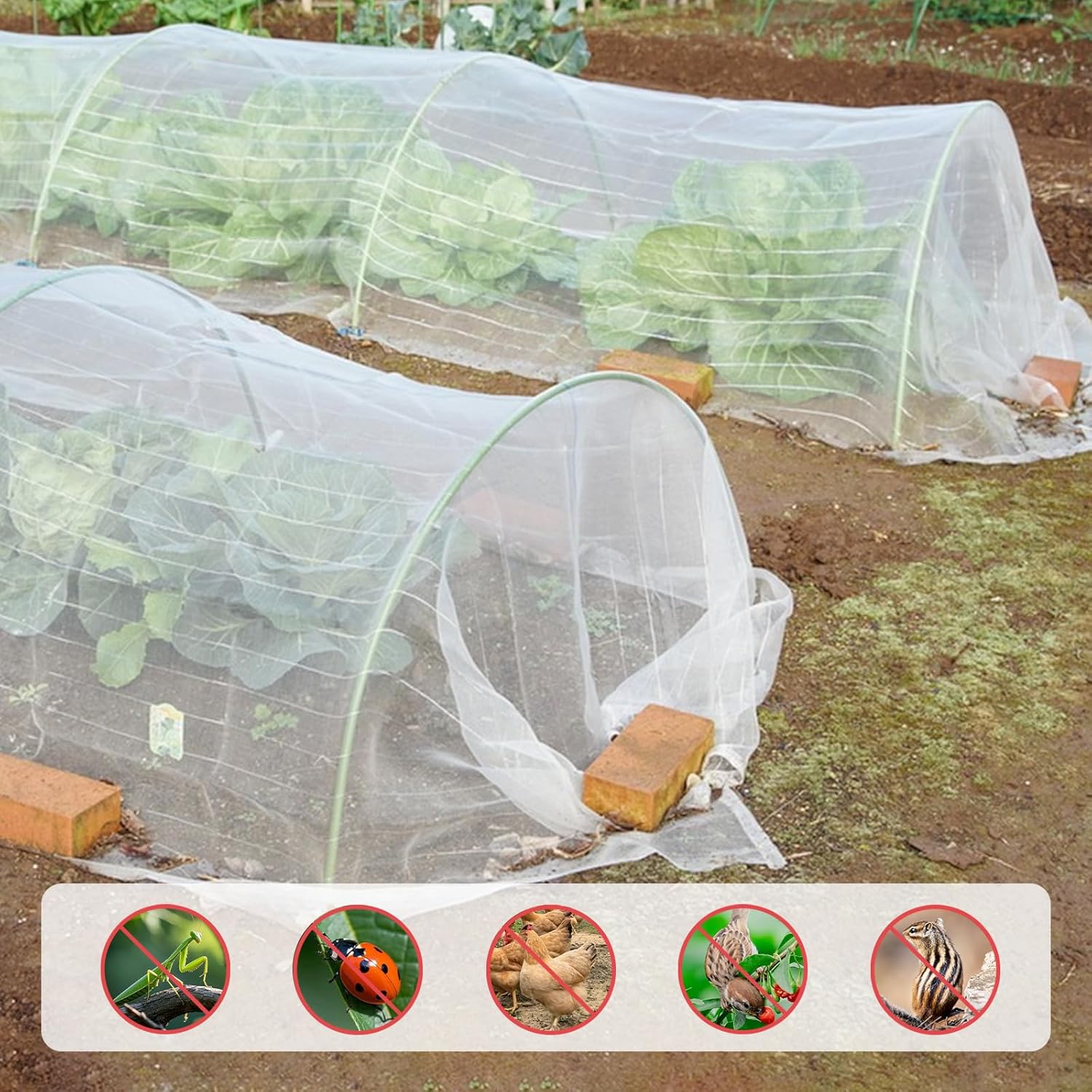 Red Antiinsectos - BEAIN-5025120 - Meyabond - De PEAD / Para El Cultivo
