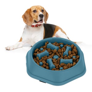 Contenitore Crocchette Per Cane E Gatto Mobiclinic - 20L, Chiusura Ermetica, Con Ruote E Misurino - Foto 10