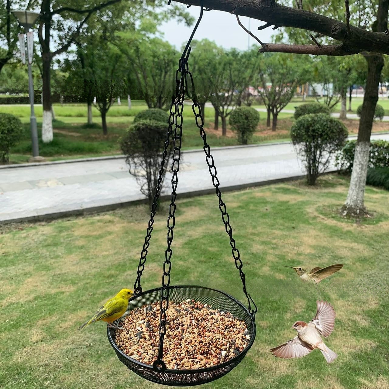 Mangeoire à Oiseaux Suspendue En Métal - Diamètre 18 Cm - Résistante Aux Intempéries - Pour Graines Et Vers