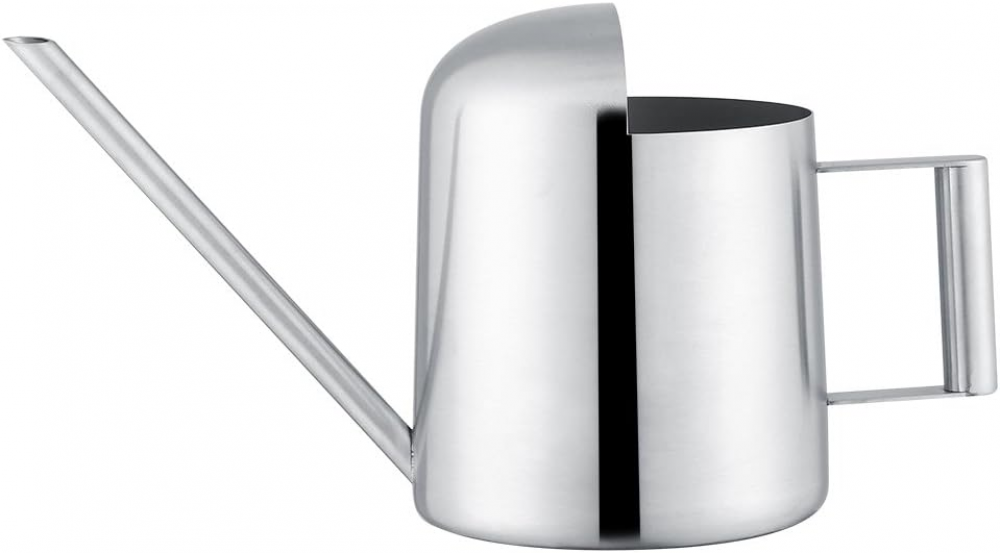 Arrosoir Intérieur En Acier Inoxydable - Capacité 1000 Ml - Bec Long 17 Cm - Pour Plantes D'intérieur Et Bonsaï