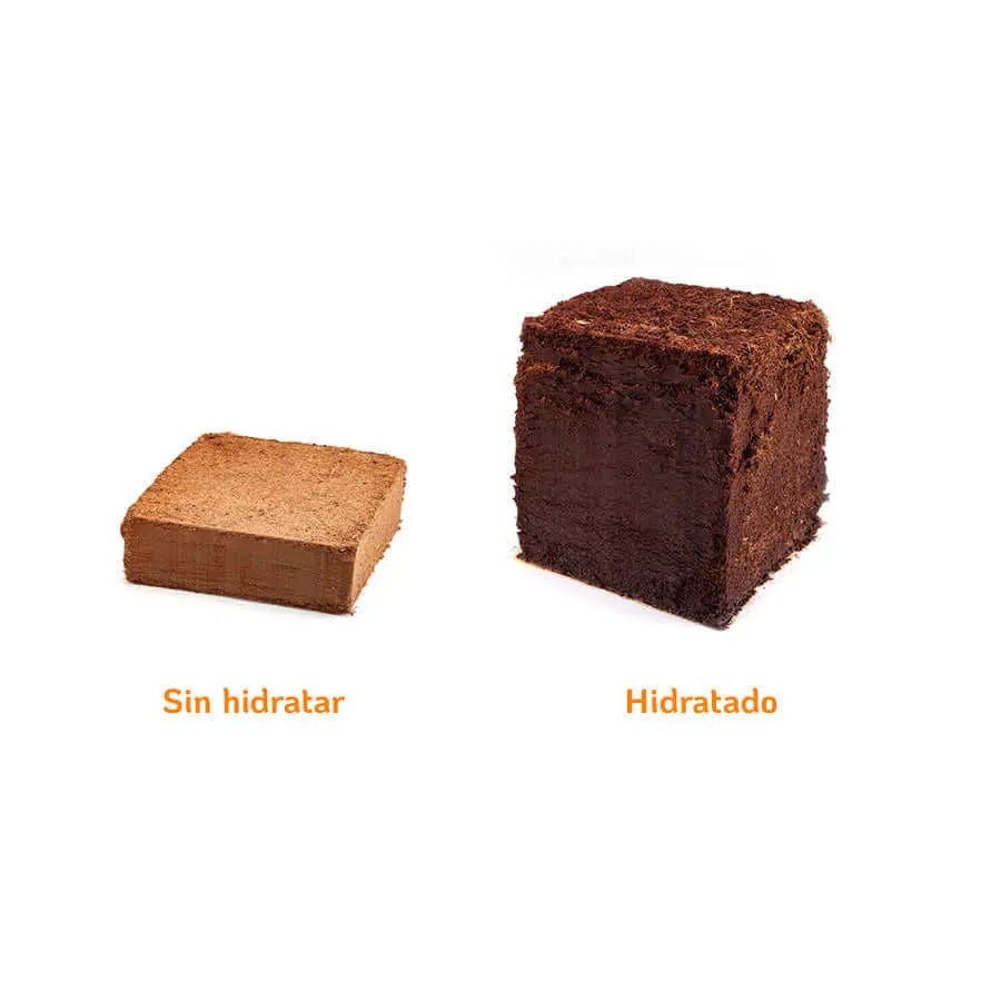 Substrato Fibra Di Cocco Per Animali - 2 Pezzi Da 120g, Per Terrari E Uccelli