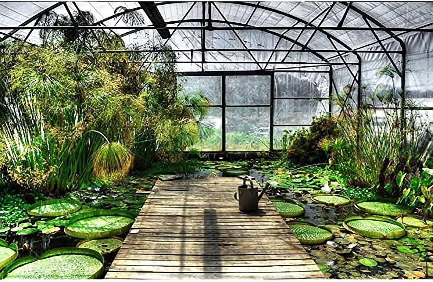 Bâche transparente imperméable multifonctionnelle, bâche en PE imperméable, résistante au vent, adaptée à une utilisation extérieure, 3 m x 4m - 6
