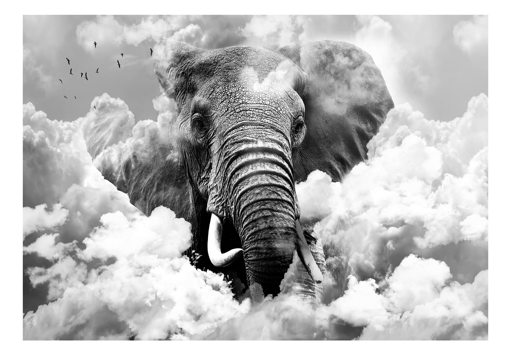 Grande Tapisserie Murale éléphant 84x84 Cm, Coton, à Suspendre, Neuve, UK