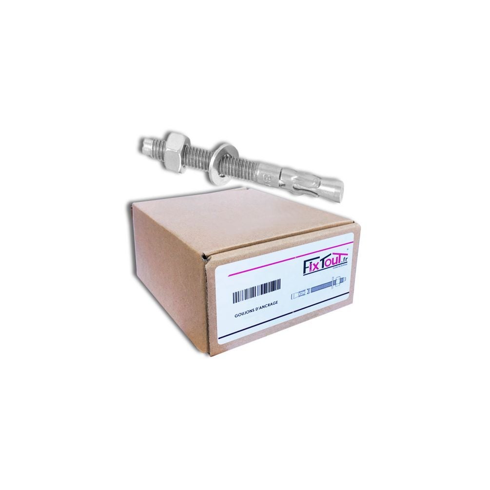 Sachet de 4 goujons d'ancrage 12 x 100 mm - Ram