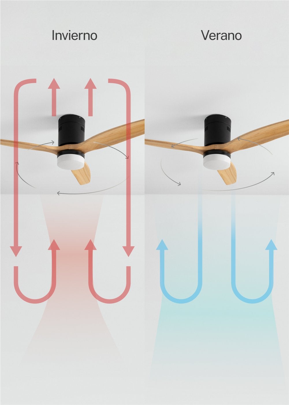 WIND CALM M - Ventilador de teto silencioso de 40 W com pás técnicas em ABS de vários tamanhos - Com luz - com wifi - 6