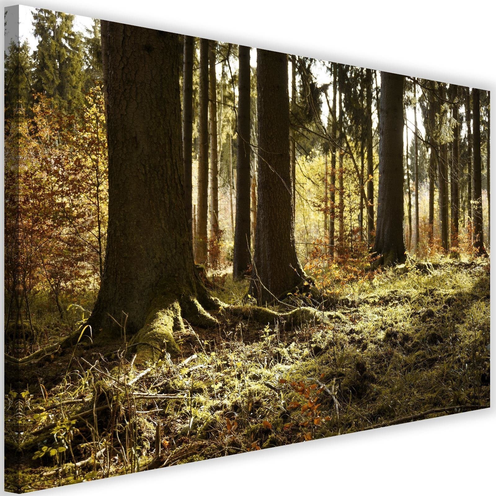 Obraz na płótnie, Las mgła krajobraz 120x80