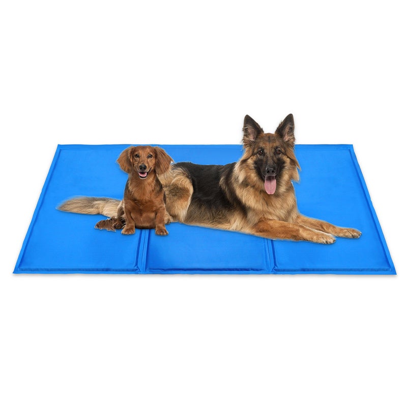 Tapis de Refroidissement pour Chien – Comptoir Santé & Beauté
