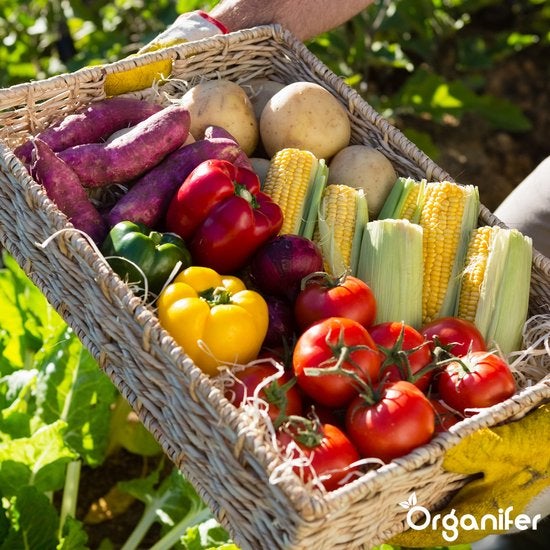 Amendement Du Sol Biochar - 10 Kg - 35 L - Organifer - Amendement Organique Du Sol - 9