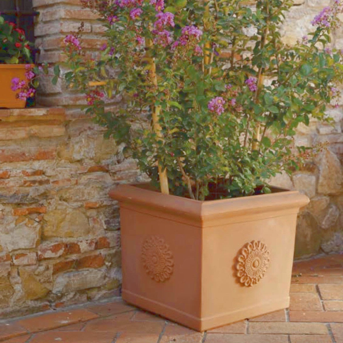 MERCURIO Vaso quadro Festonato 55 cm. IMPRUNETA - 2