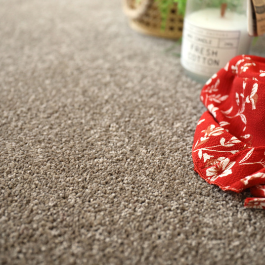 Moquette - Manège - Marron - Rouleau de 4m x 5m - 5