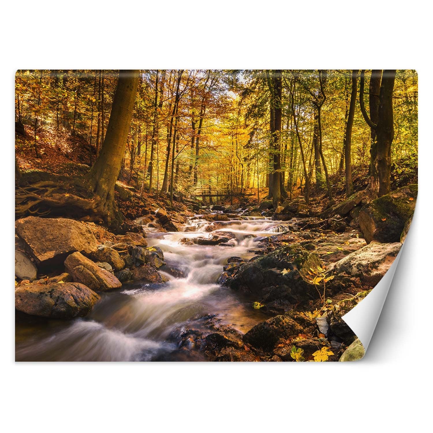 Fototapeta, Leśny potok jesienią 300x210