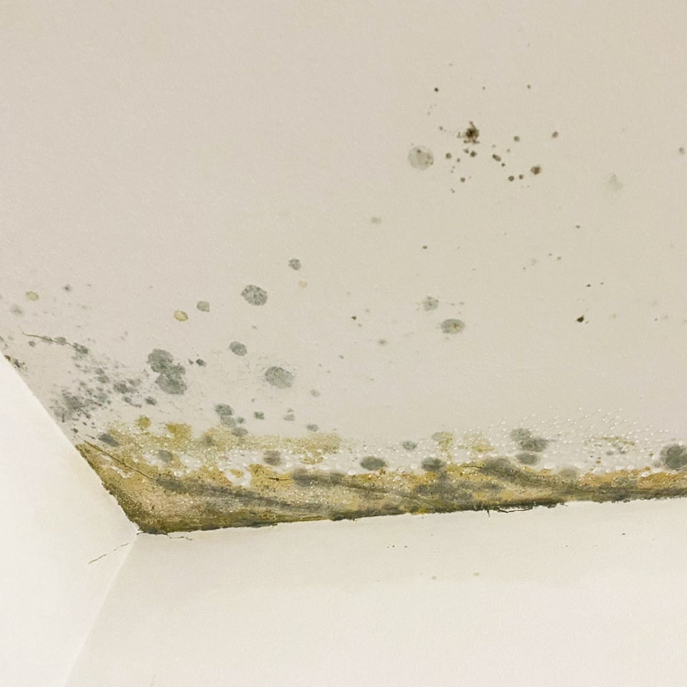 Peinture Isolante Thermique Anti-condensation pour Intérieur (4L - Blanc) - Casse les ponts thermiques et améliore la température intérieure - 2