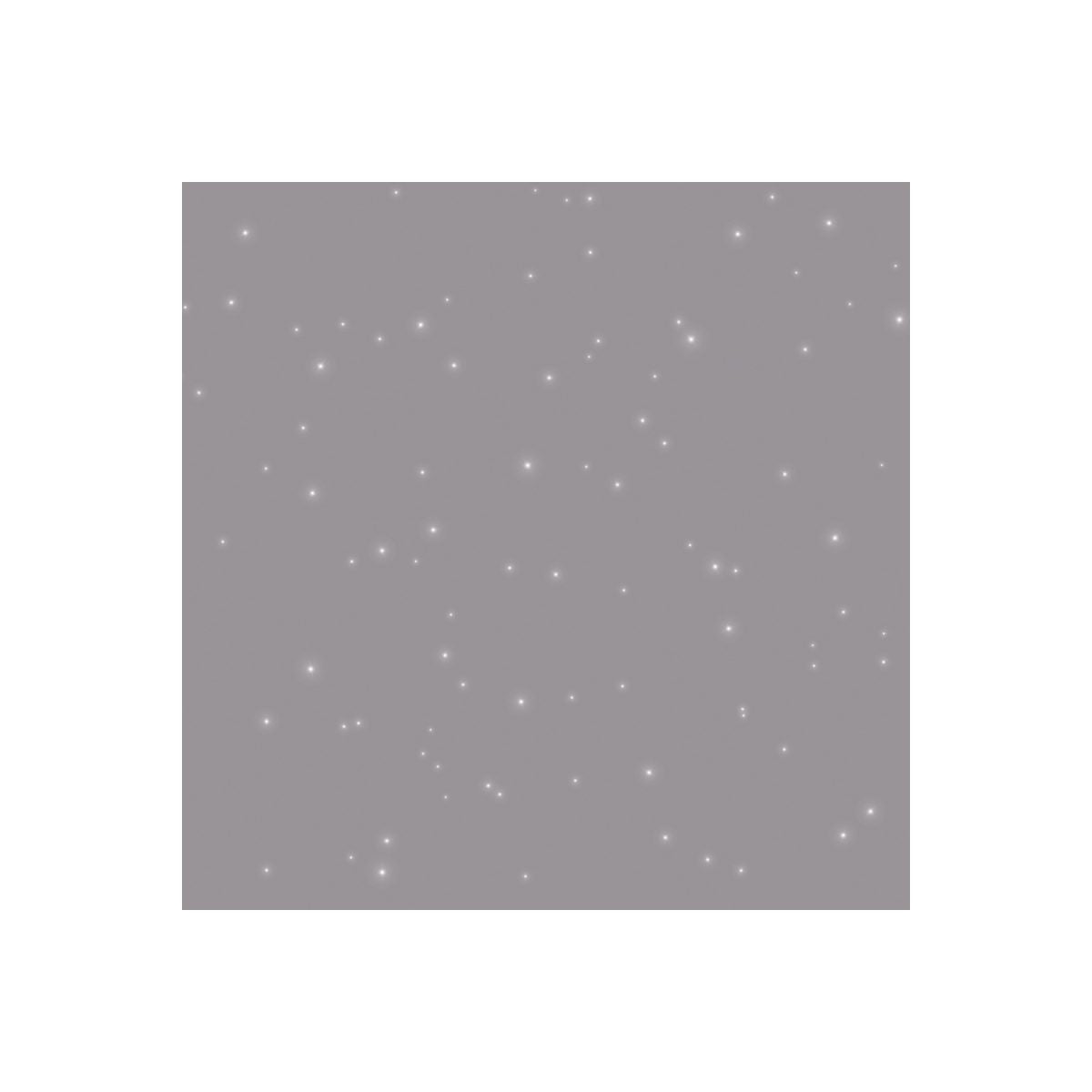 Peinture de finition mate paillettée PAILLETT 2L OSCAR - ID Paris - 2