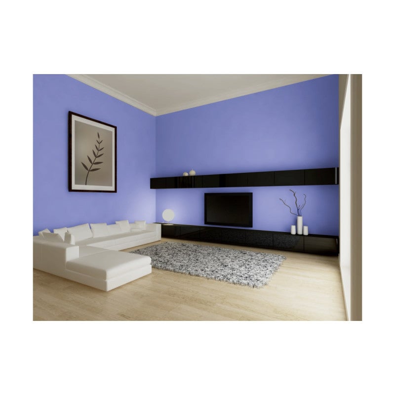 Plâtre de Paris PAREXLANKO - 5kg - 02801 - 5