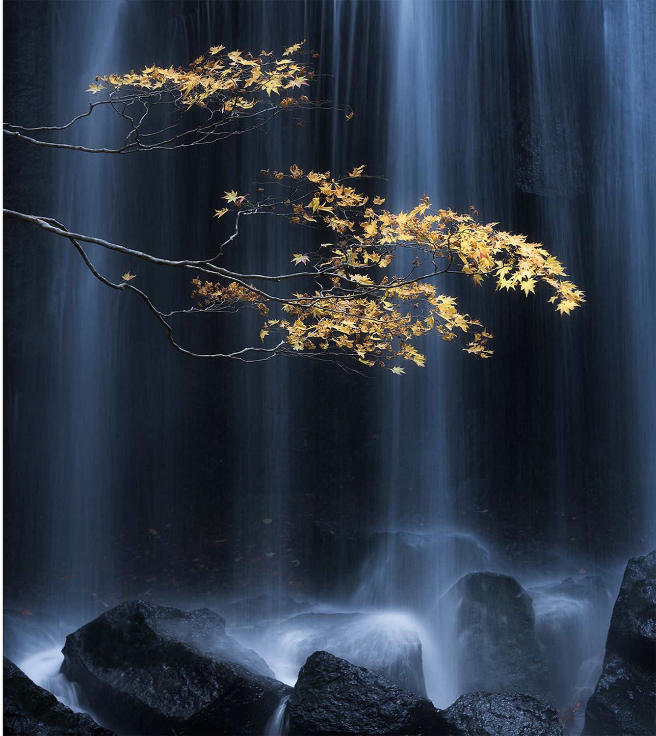 Fotomural cascada azul oscuro, negro y amarillo ocre - 3,6 x 2,7 m - sanders & sanders